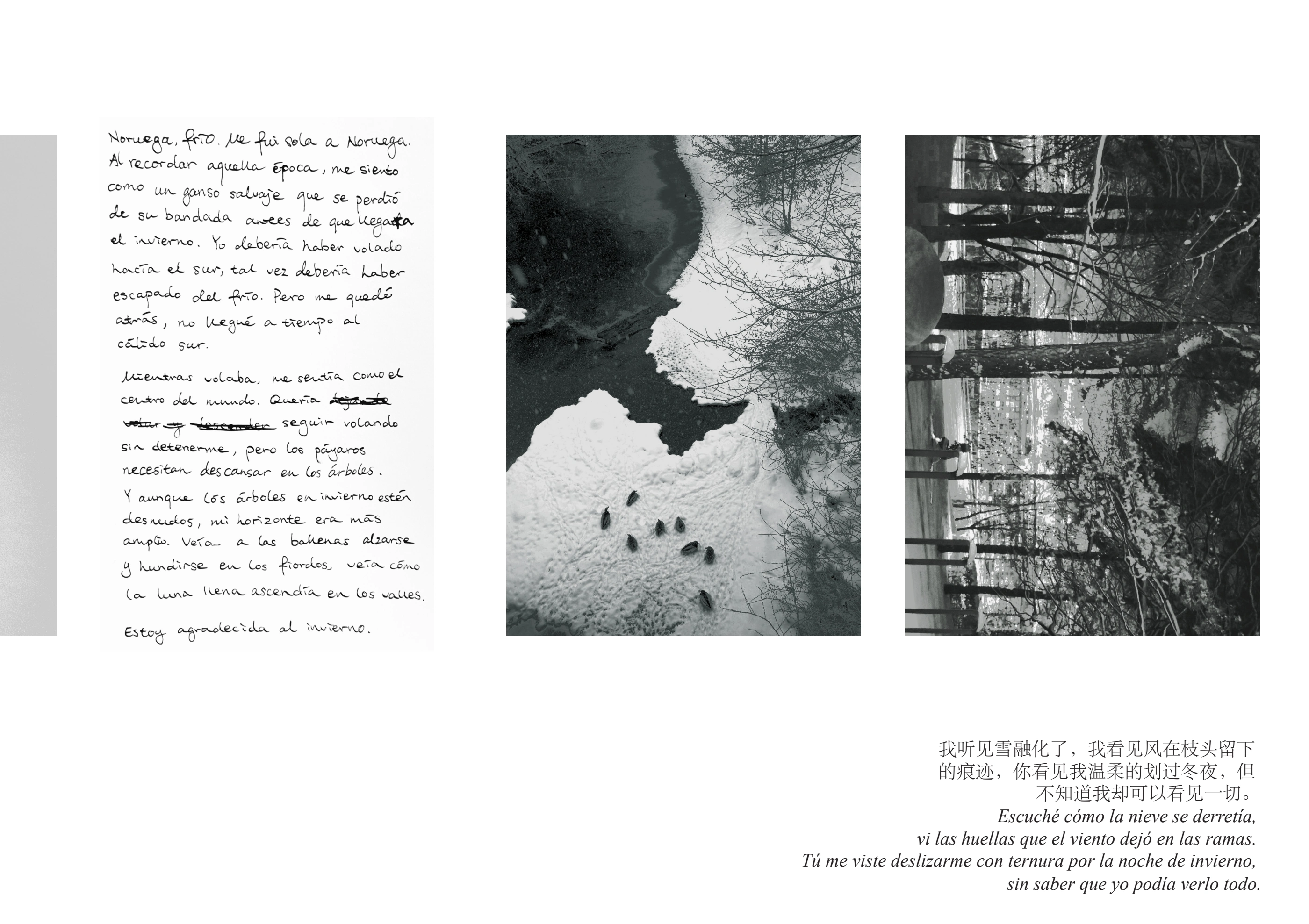 Roots, page 11