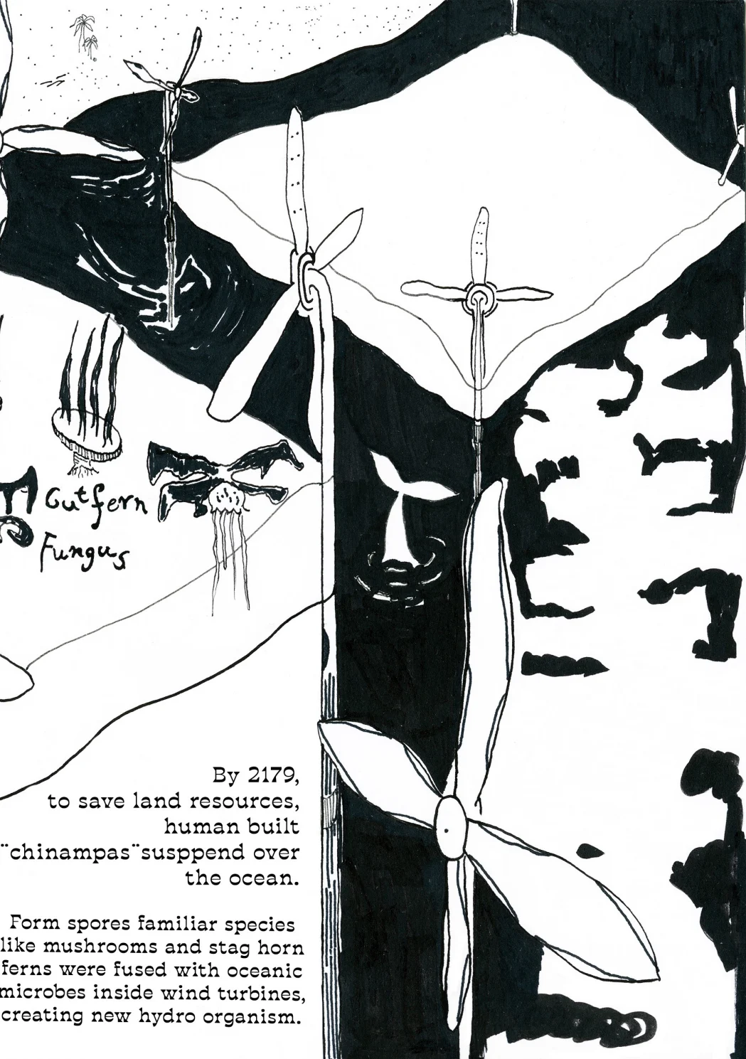 Growing into the future, Rooted in the past, page 14